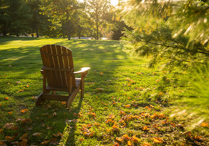 Campus scenery. Links to Gifts That Pay You Income Campus scenery. Links to Gifts That Pay You Income